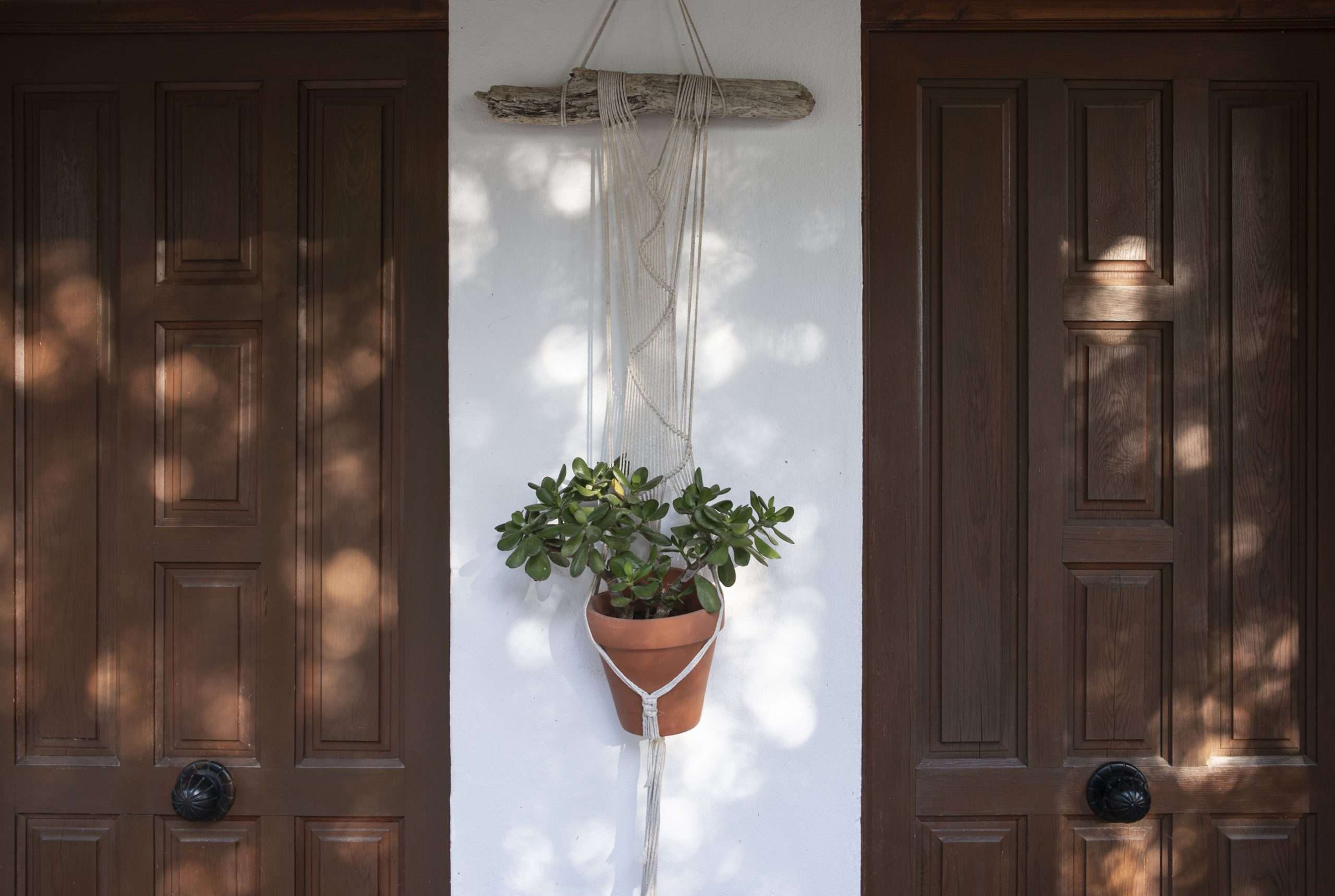 2 wooden doors and a macrame with a plant in between them
