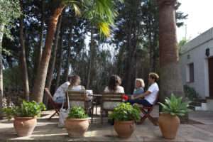 5 people sitting around a table talking on a sunny terrace surrounded by trees and pot plants
