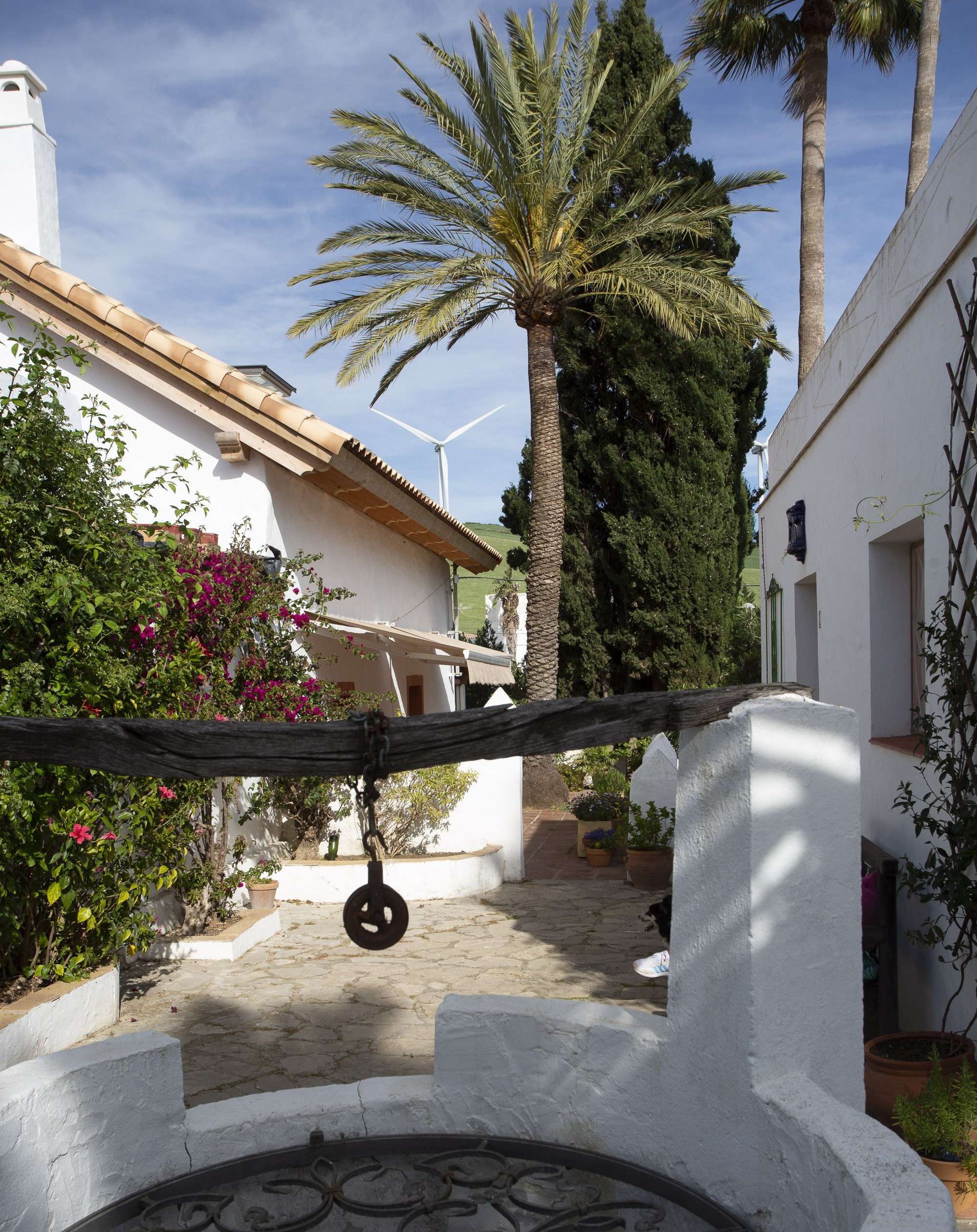a well and 2 white houses, a terrace, flowers and palmtrees